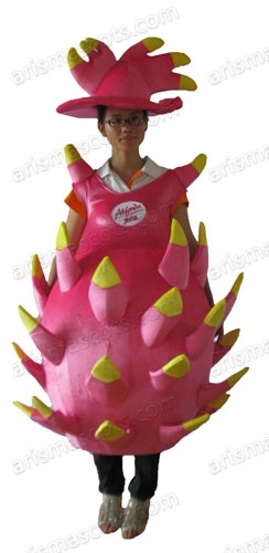 Pitaya mascot costume