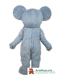 Koala Bear mascot