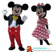 Mickey and Minnie Costume