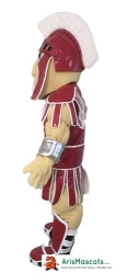 Knight Mascot Costume