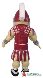 Knight Mascot Costume