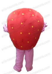 Strawberry Mascot Costume