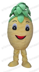 Pineapple Mascot Costume