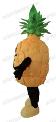 Pineapple Mascot Costume