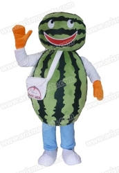 Watermelon Mascot Costume