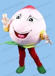 Peach Mascot Costume