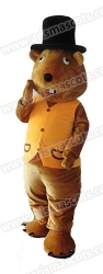 Squirrel Mascot Costume