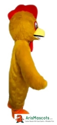 Chicken Mascot