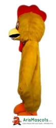 Chicken Mascot