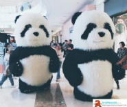 Inflatable Panda Costume