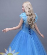 Cinderella Costume