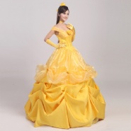 Princess Belle Costume