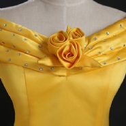 Princess Belle Costume