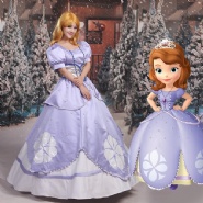 Princess Sofia Costume