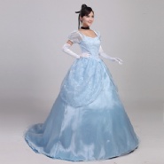 Cinderella Costume