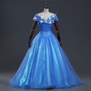 Cinderella Costume