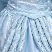 Cinderella Costume