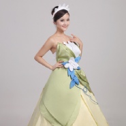 Princess Tiana Costume