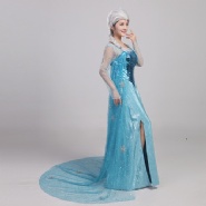 Princess Elsa Costume