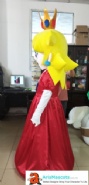 Princess Peach Costume