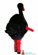Black Swan Mascot