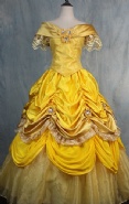 Princess Belle Costume