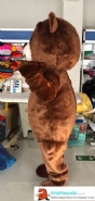Bear Mascot
