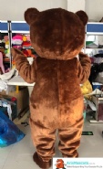 Bear Mascot
