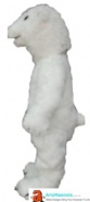 Polar Bear Mascot