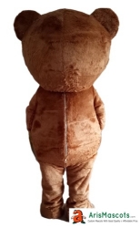 Bear mascot costume