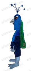 Peacock mascot costume